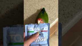 Lovebird Opens Coffee Pack In Satisfying Way