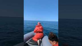 Humpback Whale Smiles for the Camera