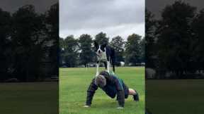 Border Collie Helps Him With Push-Ups