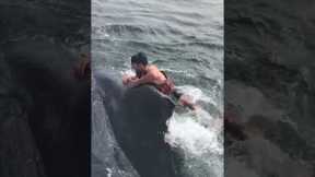 Heroic Fisherman Rides Whale To Set It Free