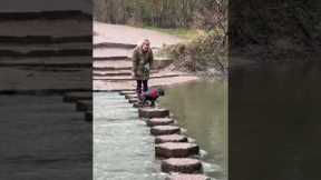 Dog's Hilarious Stepping Stone Struggle