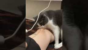 Cat Bites And Twists A Knee