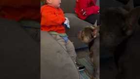 Toddler Shares Crisps With Puppy