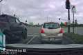 Pet Dogs Leap Out Of Moving Car