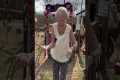 Grandma Regrets Alpaca Kissing Booth