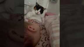 Cat Tries To Make Sense Of Newborn