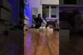 Cat Loves Distracting Busy Owner