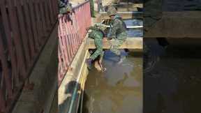 Special Forces Rescue Trapped Goat