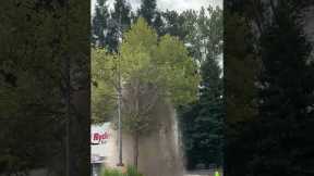 Semi-Truck Driver Has a Bad Day