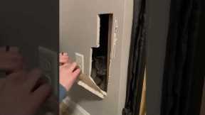 Rescuing A Kitty From Inside The Wall