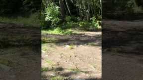 How NOT To Play Disc Golf