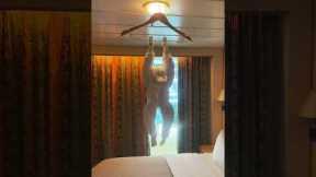 Housekeeping Made Us a Monkey Towel