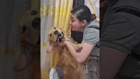 Dog Avoids Kisses From Auntie