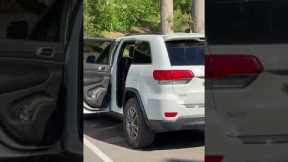 Wild Bear Breaks Into Her Car