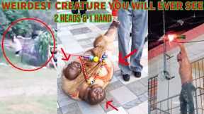 REAL MIND-BLOWING MYSTERIES and STRANGEST THINGS CAUGHT on CAMERA That We Can't Explain