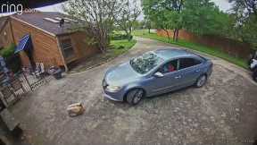 Amazon Driver Runs Over Package He Just Delivered