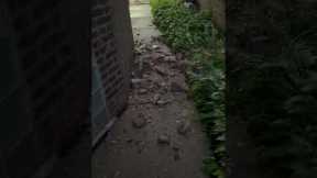 Lightning Close Call In Chicago