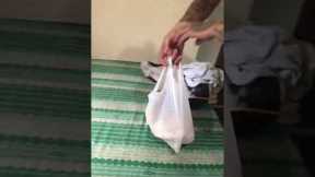 Cat voluntarily enters a plastic bag