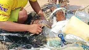 Lifeguard Saves Turtle Tangled In Ocean Waste