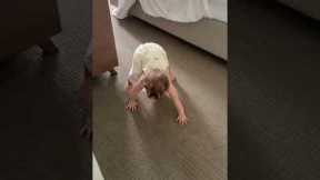 Toddler Practices Horror-Crawling