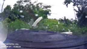 Pickup Spins Out of Control On Wet Road