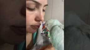 Cutest Parrot Soaks Up Love