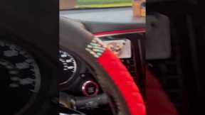 Pug Sounds Like Car Breaking Down
