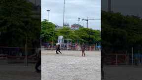 Playing Beach Volleyball With The Dog