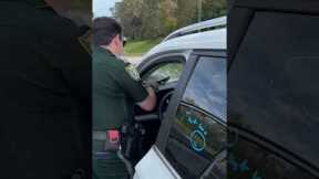 Flying Turtle Shatters Windscreen