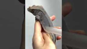 How NOT To Shed Your Gecko