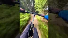 Crazy Downhill Trail In Switzerland
