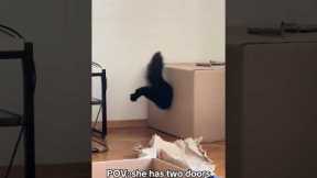 Cat Squeezes Into Tiny Hole