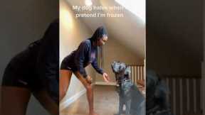 Woman Pranks Her Dog By Freezing