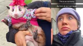 What Is That!? - Best Clips Of The Week