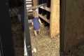 Tiny Farmhand Is Already A Pro