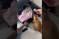 Newborn Meets Curious Cats