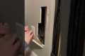 Rescuing A Kitty From Inside The Wall