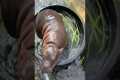 Bath Time For Moo Deng The Baby Hippo