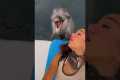 Dolphin Mimics Her Voice
