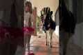 Adorable Cow and Girl Halloween Duo