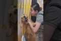 Dog Avoids Kisses From Auntie