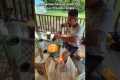Mosquito Ignores Citronella Candles