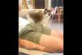 Hilarious Cat Imitates Hitting