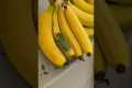 Bananas Come With Free Tree Frog