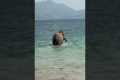 Elephant Takes A Dip In The Ocean