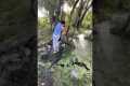 Stylish Man Dodges Muddy Mishap