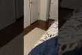 Cat Vs. Mirror: The Ultimate Showdown