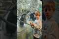 Boy's Rubik's Cube Fascinates Monkey
