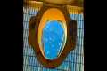 INSANE Toilet - Could You Use It?
