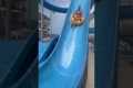 Woman Has Funny Wipeout On Slide